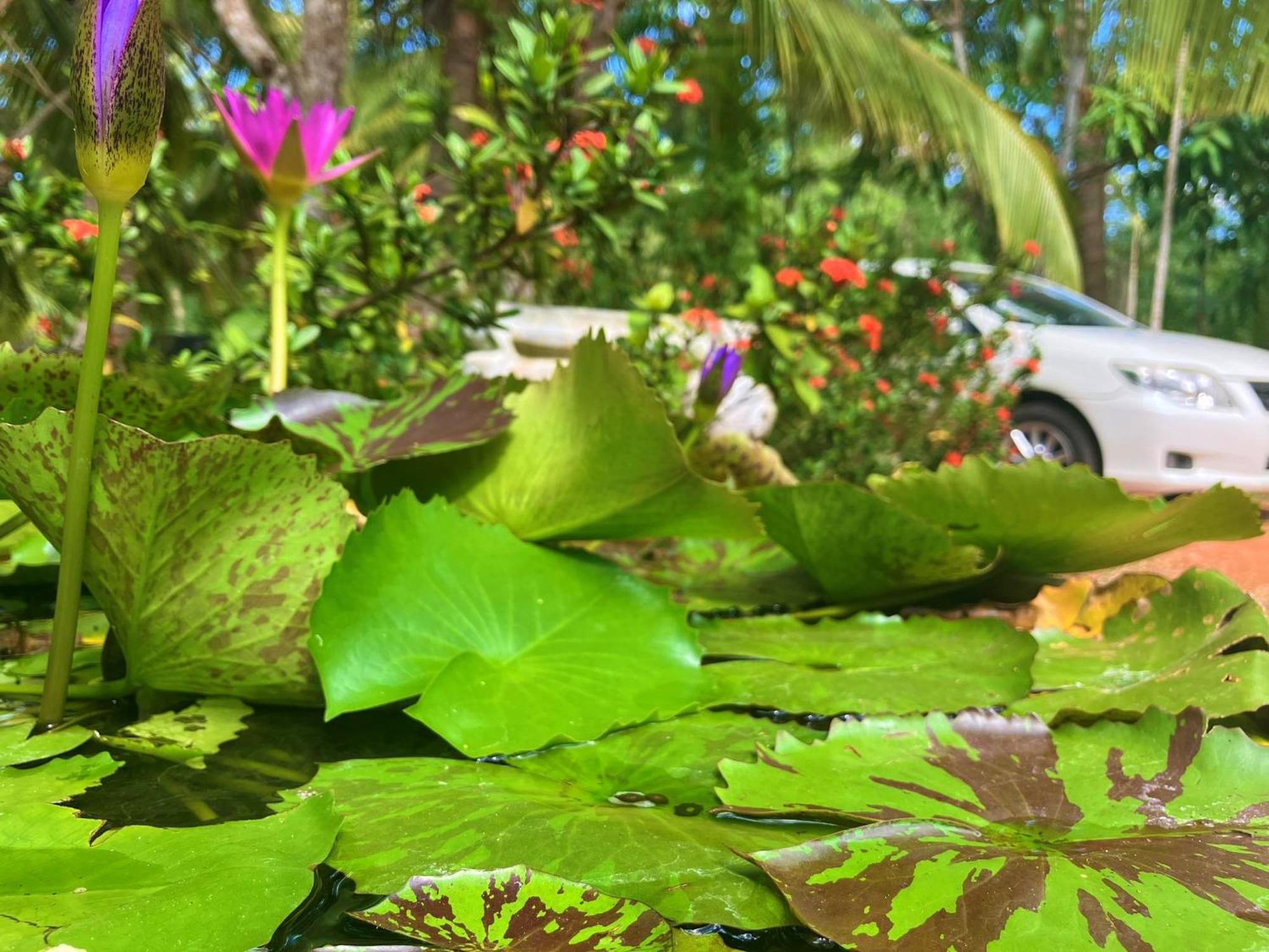 Grand Refuge Holiday Rooms Anuradhapura Εξωτερικό φωτογραφία